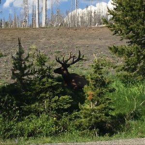 Meet your Posher, Carly